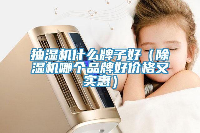 抽濕機(jī)什么牌子好（除濕機(jī)哪個品牌好價格又實惠）