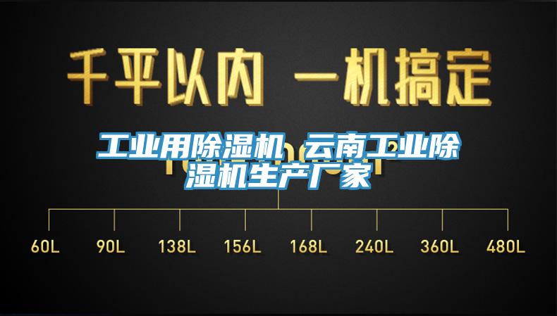 工業(yè)用除濕機 云南工業(yè)除濕機生產(chǎn)廠家