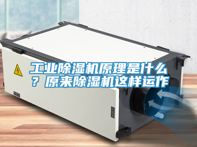 工業(yè)除濕機(jī)原理是什么？原來除濕機(jī)這樣運(yùn)作