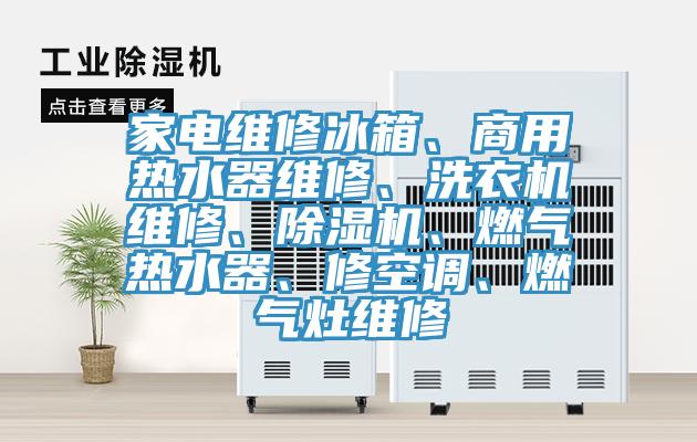 家電維修冰箱、商用熱水器維修、洗衣機(jī)維修、除濕機(jī)、燃?xì)鉄崴?、修空調(diào)、燃?xì)庠罹S修