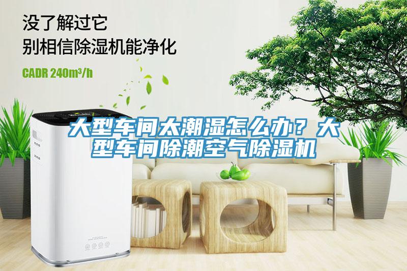 大型車(chē)間太潮濕怎么辦？大型車(chē)間除潮空氣除濕機(jī)