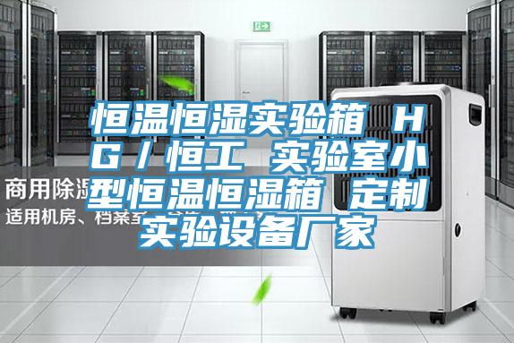 恒溫恒濕實驗箱 HG／恒工 實驗室小型恒溫恒濕箱 定制實驗設(shè)備廠家