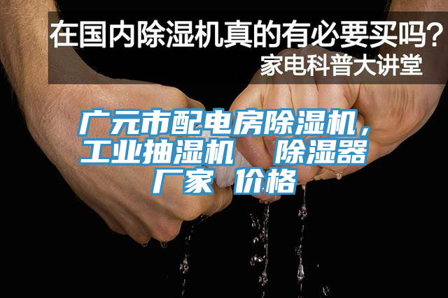 廣元市配電房除濕機(jī)，工業(yè)抽濕機(jī)  除濕器廠家 價格
