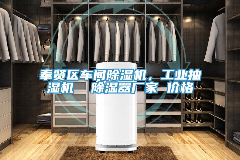 奉賢區(qū)車間除濕機(jī)，工業(yè)抽濕機(jī)  除濕器廠家 價格
