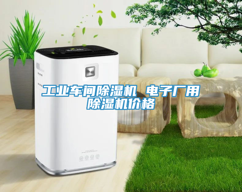 工業(yè)車間除濕機 電子廠用除濕機價格