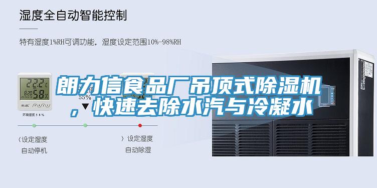 朗力信食品廠吊頂式除濕機(jī)，快速去除水汽與冷凝水