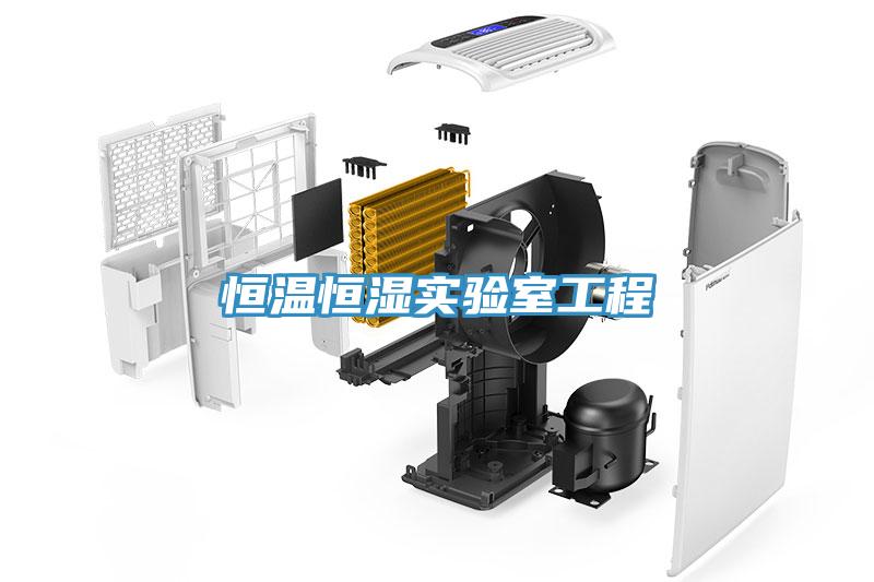 恒溫恒濕實(shí)驗(yàn)室工程