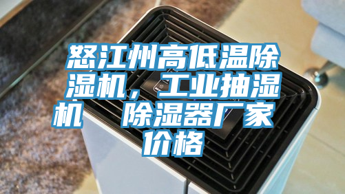 怒江州高低溫除濕機(jī)，工業(yè)抽濕機(jī)  除濕器廠家 價(jià)格