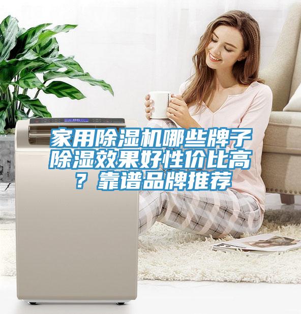 家用除濕機哪些牌子除濕效果好性價比高？靠譜品牌推薦