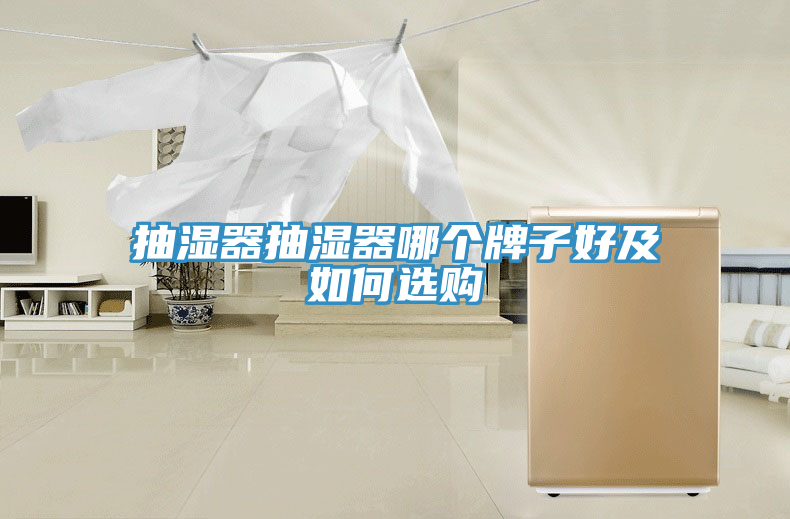抽濕器抽濕器哪個牌子好及如何選購