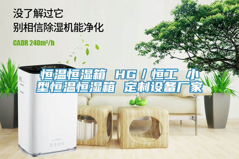 恒溫恒濕箱 HG／恒工 小型恒溫恒濕箱 定制設備廠家