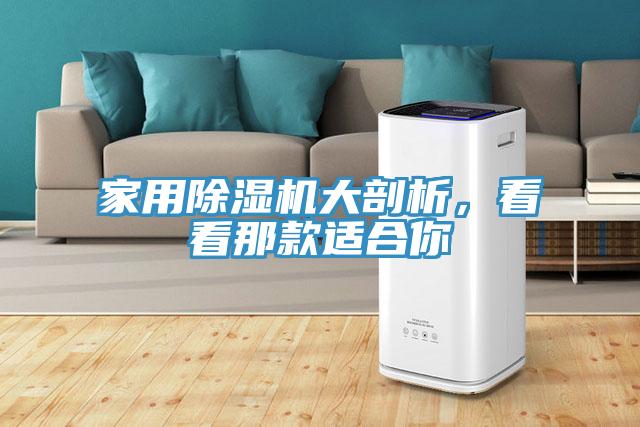 家用除濕機大剖析，看看那款適合你