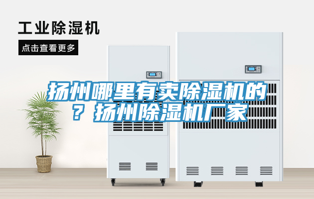 揚州哪里有賣除濕機的？揚州除濕機廠家
