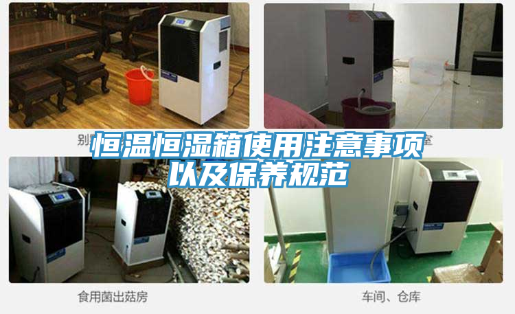 恒溫恒濕箱使用注意事項以及保養(yǎng)規(guī)范