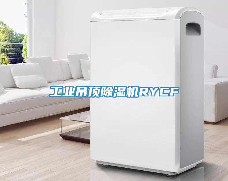 工業(yè)吊頂除濕機(jī)RYCF