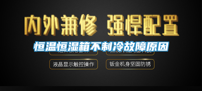 恒溫恒濕箱不制冷故障原因