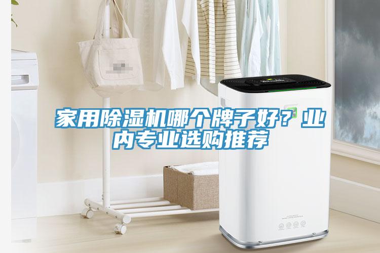 家用除濕機哪個牌子好？業(yè)內(nèi)專業(yè)選購推薦