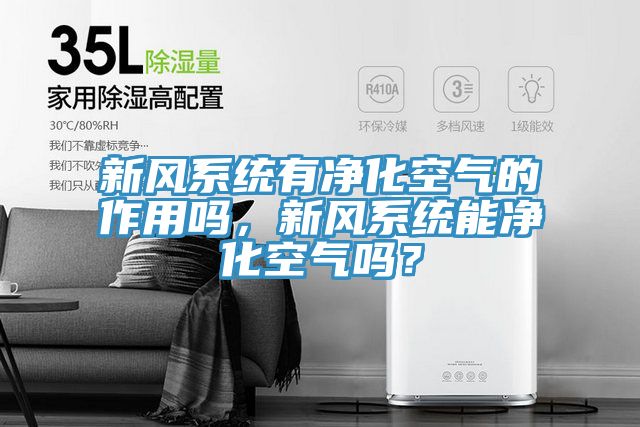 新風(fēng)系統(tǒng)有凈化空氣的作用嗎，新風(fēng)系統(tǒng)能凈化空氣嗎？