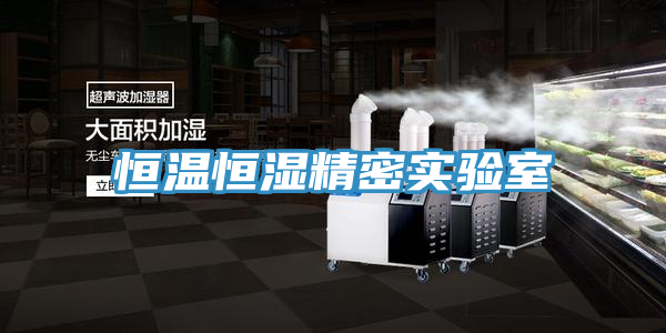 恒溫恒濕精密實(shí)驗(yàn)室