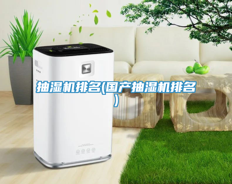 抽濕機(jī)排名(國(guó)產(chǎn)抽濕機(jī)排名)