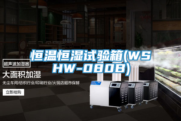 恒溫恒濕試驗(yàn)箱(WSHW-080B)