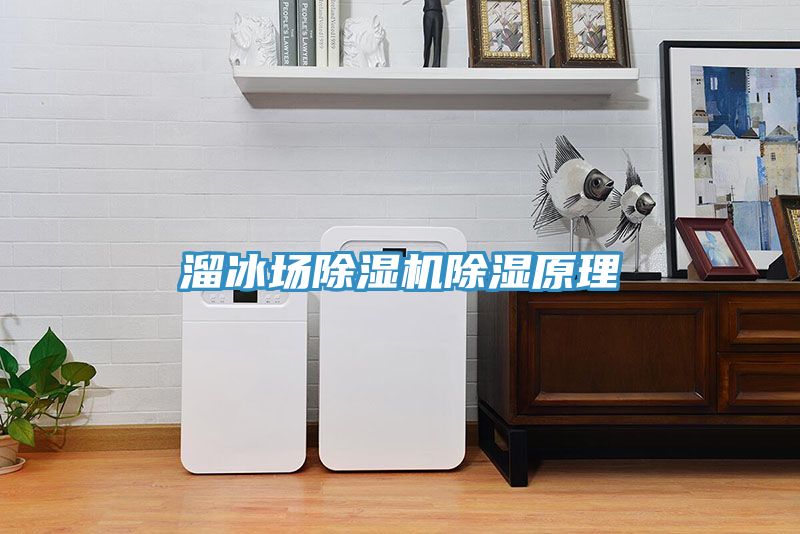 溜冰場(chǎng)除濕機(jī)除濕原理