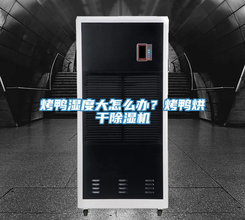 烤鴨濕度大怎么辦？烤鴨烘干除濕機(jī)