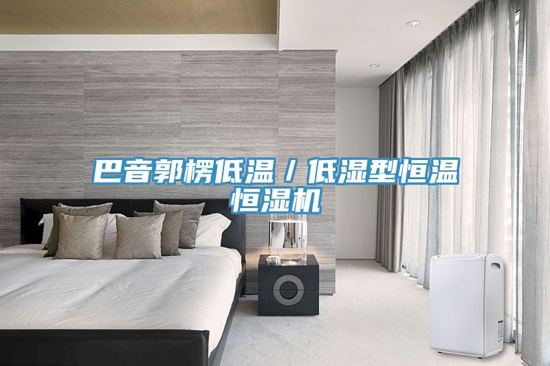 巴音郭楞低溫／低濕型恒溫恒濕機(jī)