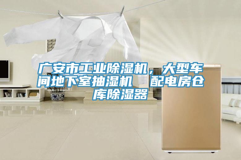 廣安市工業(yè)除濕機(jī)，大型車間地下室抽濕機(jī)  配電房倉(cāng)庫(kù)除濕器