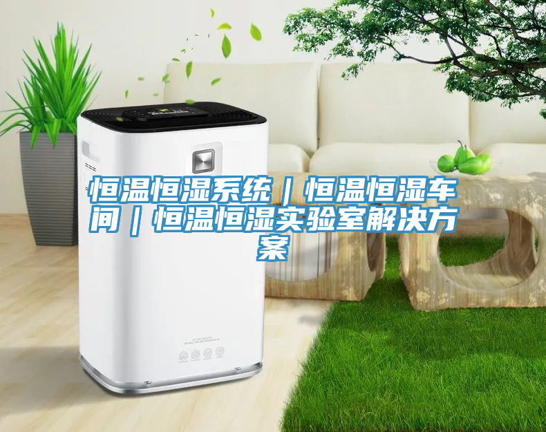恒溫恒濕系統(tǒng)｜恒溫恒濕車間｜恒溫恒濕實(shí)驗(yàn)室解決方案