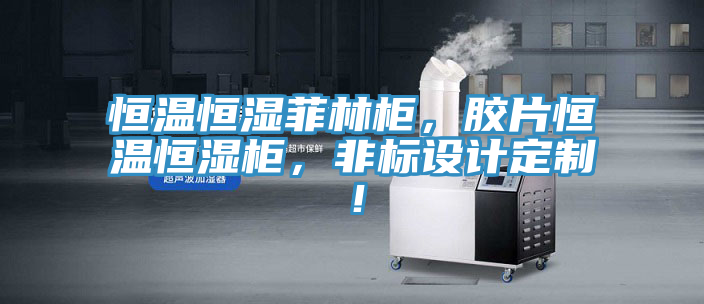 恒溫恒濕菲林柜，膠片恒溫恒濕柜，非標(biāo)設(shè)計定制！