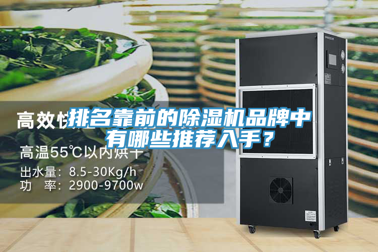 排名靠前的除濕機(jī)品牌中有哪些推薦入手？