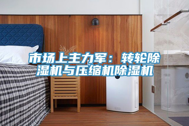 市場上主力軍：轉(zhuǎn)輪除濕機(jī)與壓縮機(jī)除濕機(jī)