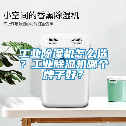 工業(yè)除濕機(jī)怎么選？工業(yè)除濕機(jī)哪個牌子好？