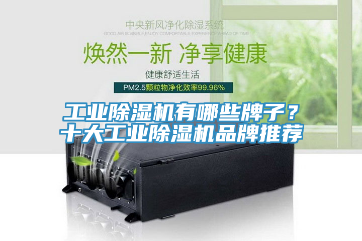 工業(yè)除濕機(jī)有哪些牌子？十大工業(yè)除濕機(jī)品牌推薦