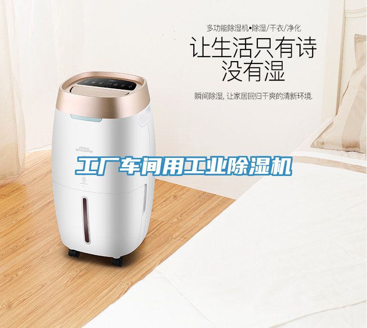 工廠車間用工業(yè)除濕機(jī)