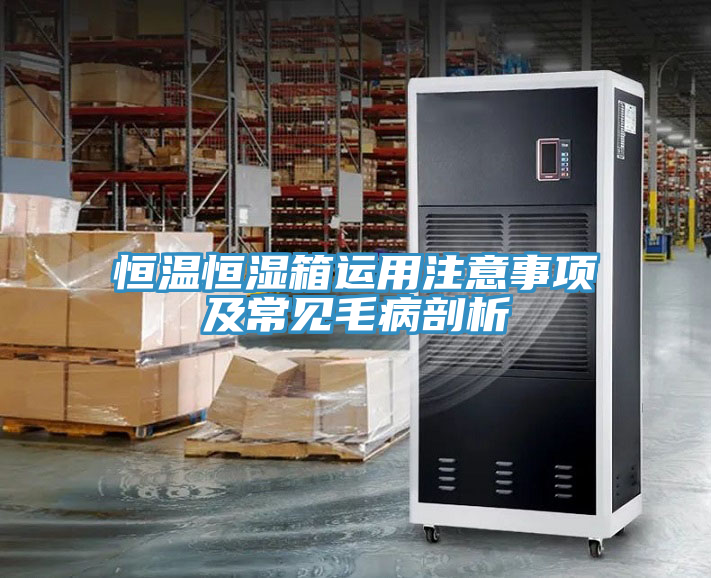 恒溫恒濕箱運(yùn)用注意事項(xiàng)及常見(jiàn)毛病剖析