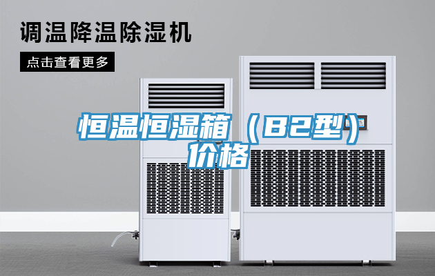 恒溫恒濕箱（B2型）價(jià)格