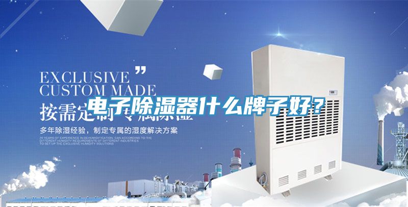 電子除濕器什么牌子好？