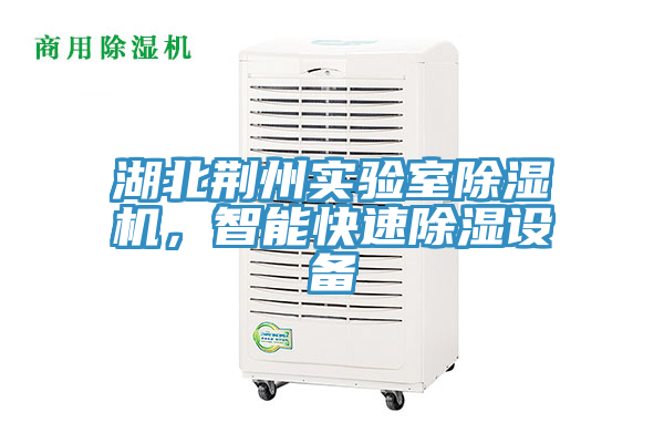 湖北荊州實驗室除濕機，智能快速除濕設(shè)備