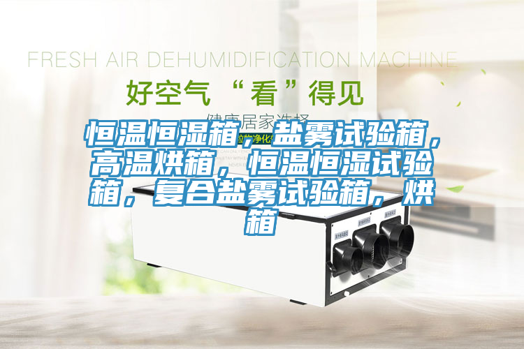 恒溫恒濕箱，鹽霧試驗(yàn)箱，高溫烘箱，恒溫恒濕試驗(yàn)箱，復(fù)合鹽霧試驗(yàn)箱，烘箱
