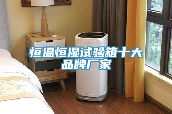 恒溫恒濕試驗(yàn)箱十大品牌廠家