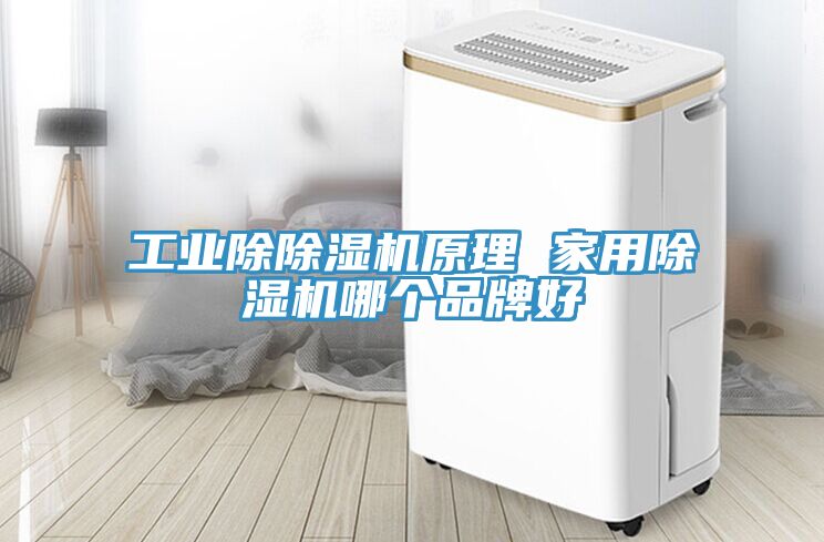 工業(yè)除除濕機(jī)原理 家用除濕機(jī)哪個品牌好