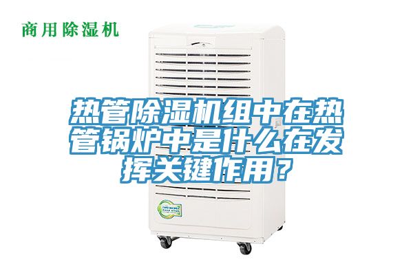 熱管除濕機(jī)組中在熱管鍋爐中是什么在發(fā)揮關(guān)鍵作用？