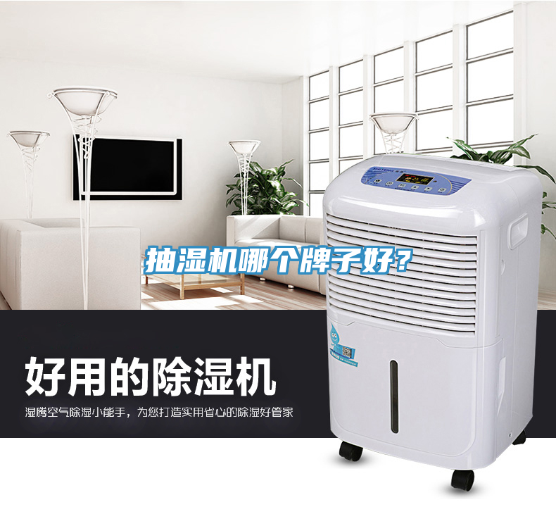 抽濕機(jī)哪個(gè)牌子好？