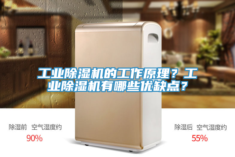 工業(yè)除濕機(jī)的工作原理？工業(yè)除濕機(jī)有哪些優(yōu)缺點(diǎn)？
