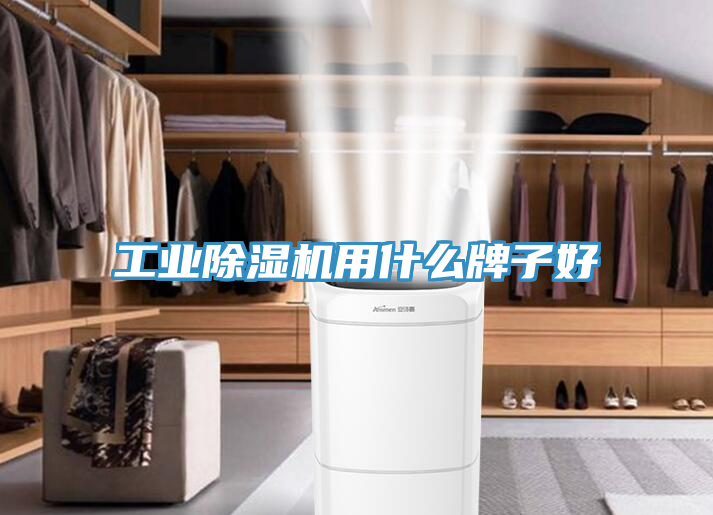 工業(yè)除濕機用什么牌子好