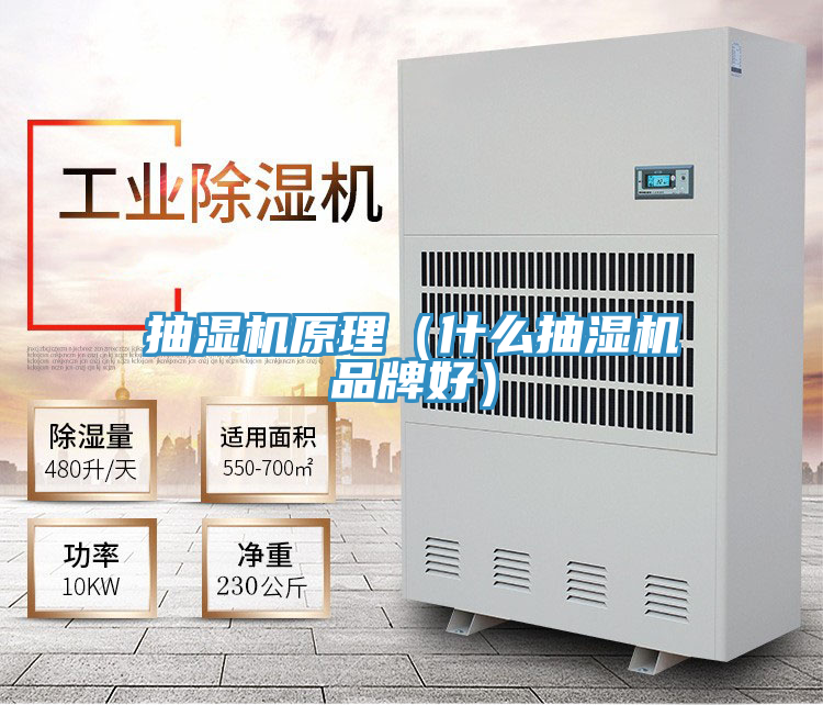 抽濕機(jī)原理（什么抽濕機(jī)品牌好）