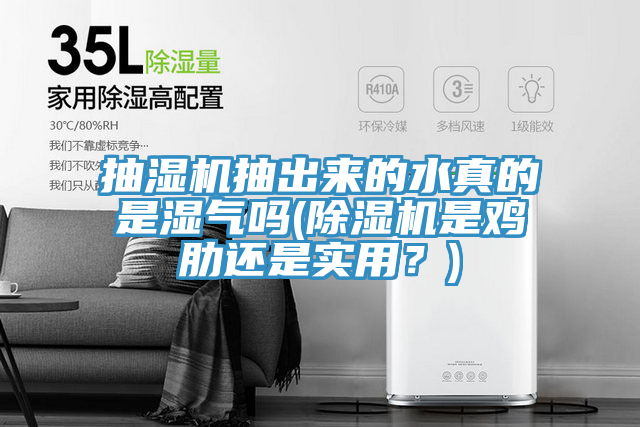 抽濕機(jī)抽出來(lái)的水真的是濕氣嗎(除濕機(jī)是雞肋還是實(shí)用？)