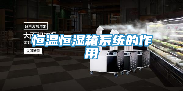 恒溫恒濕箱系統(tǒng)的作用
